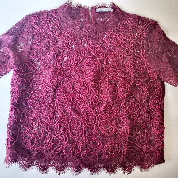 Zara Wine Lace Mock Neck Top - Picture 8 of 9